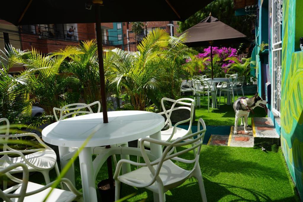 Gaston Coliving Medellin