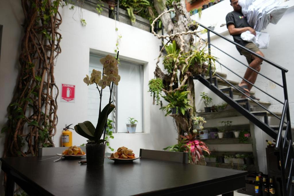 Hostel Gaston Coliving *